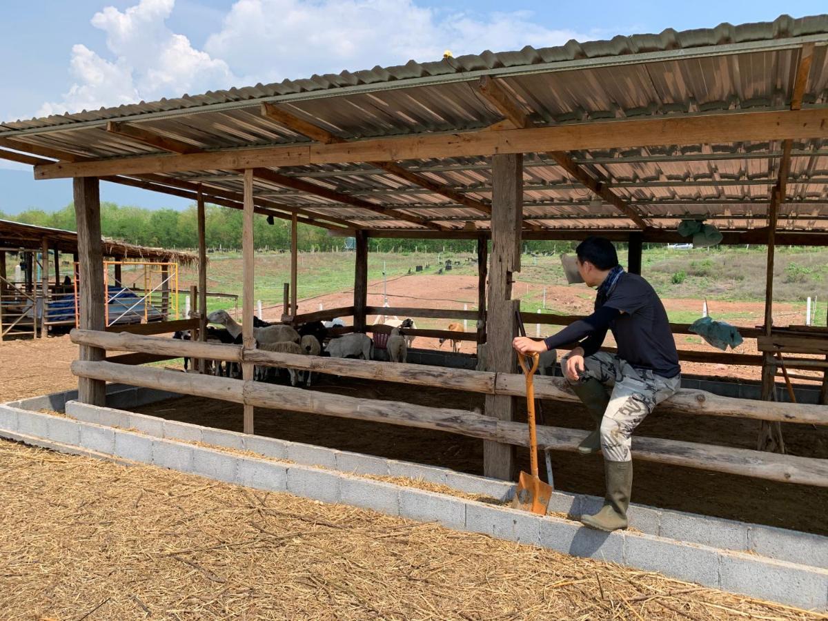 ฟาร์มแกะภูกระดึง Waraporn Valley Ban Nong Tum Zewnętrze zdjęcie